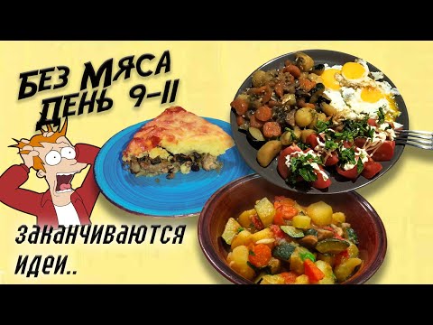 Видео: Сколько продержится мясоед без мяса. День 9-11.