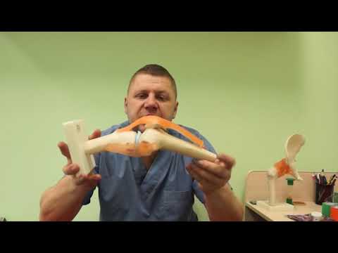 Видео: Копеечное средство при воспалении коленного сустава. Жидкость в суставе#малиновский