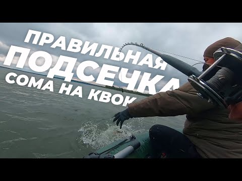Видео: Правильная подсечка сома при ловле на квок