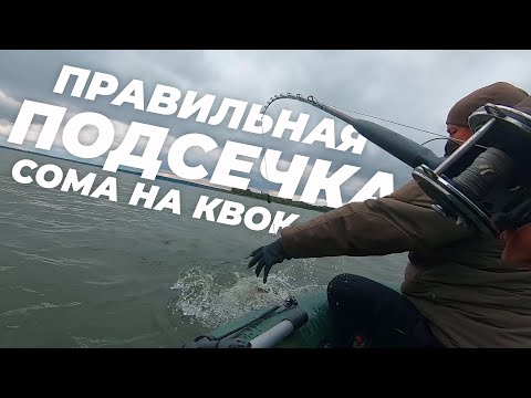 Видео: Правильная подсечка сома при ловле на квок