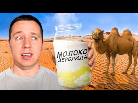 Видео: Пьем Молоко Всех Животных!