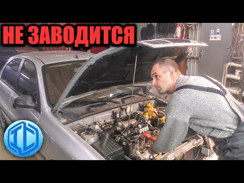 Видео: Daewoo Lanos не заводится! Поиск неисправности