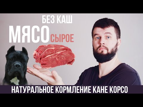 Видео: Натуральный рацион для Кане Корсо (щенок)