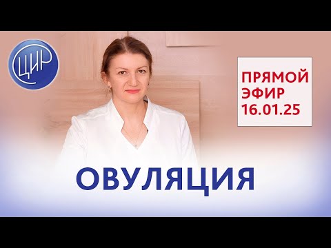 Видео: Овуляция. Прямой эфир со Светланой Николаевной Дементьевой.