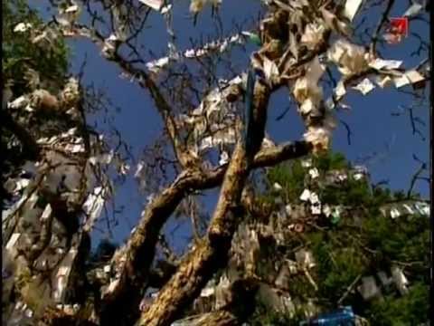 Видео: Зачарованные сады ч. 10