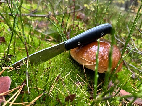 Видео: Лучший нож для грибов и рыбалки? Шарль Перо от BeaverKnife (миниобзор)