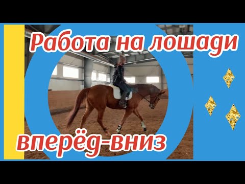 Видео: РАБОТА НА ЛОШАДИ ВПЕРЁД-ВНИЗ