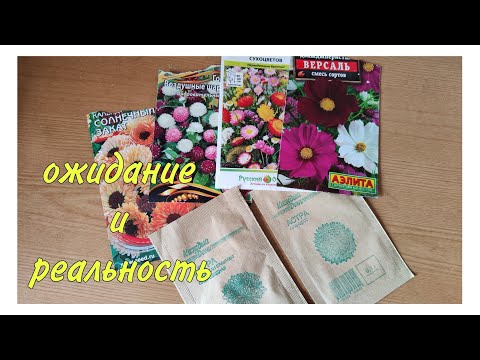 Видео: цветочный vlog - Ожидание и Реальность - отзывы о цветах сезон 2024