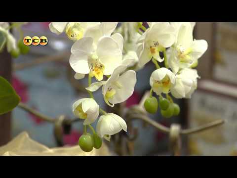 Видео: Искусственные цветы в интерьере