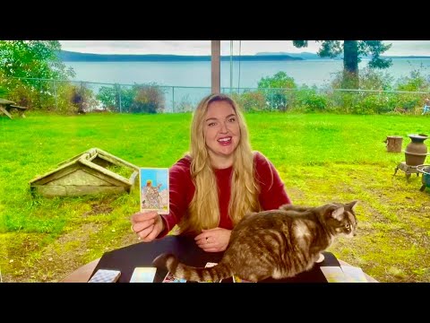 Видео: ДЕВА — ВЫ ВСЕ СДЕЛАЛИ ПРАВИЛЬНО. ЭТО БОЛЬШЕ, ЧЕМ ВЫ ДУМАЕТЕ. ТЕПЕРЬ ПРОСТО ДОВЕРЯЙТЕ И АДАПТИРУЙТ...