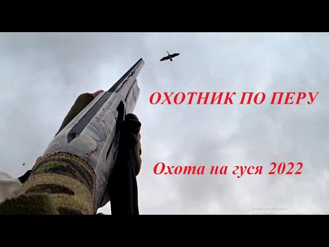 Видео: Охота на гуся "Первые трофеи"