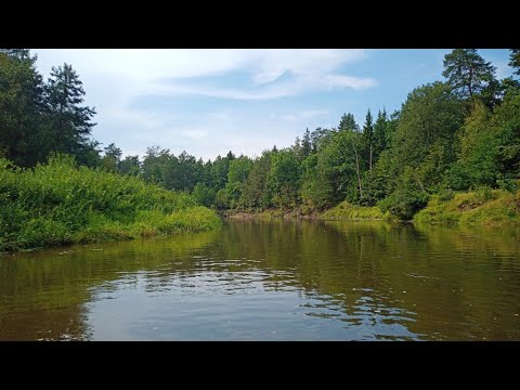 Видео: Лето, Жиздра и Дубы!