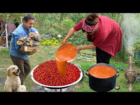 Видео: Сбор шиповника с горы | Рецепт суперполезного сиропа