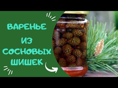 Видео: ВАРЕНЬЕ ИЗ СОСНОВЫХ ШИШЕК