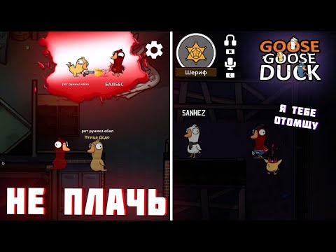 Видео: БЛС ДОВЕЛ ВРАГА ДО СЛЕЗ! ГУСИ С МАЙНШИЛДОМ | GOOSE GOOSE DUCK