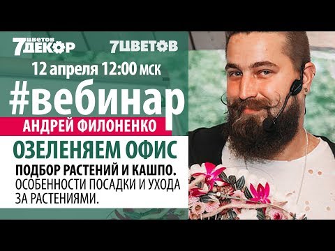 Видео: Озеленяем офис. Подбор растений и кашпо. Особенности посадки и ухода за растениями. Андрей Филоненко