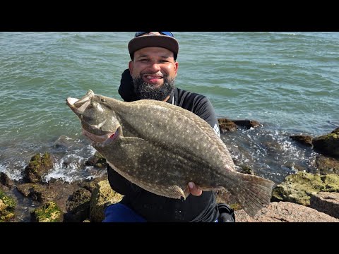 Видео: Ловля камбалы на осеннем причале (поймай и приготовь)