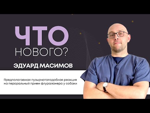 Видео: ЧТО НОВОГО? Предполагаемая пузырчатоподобная реакция на пероральный прием флураланера у собаки