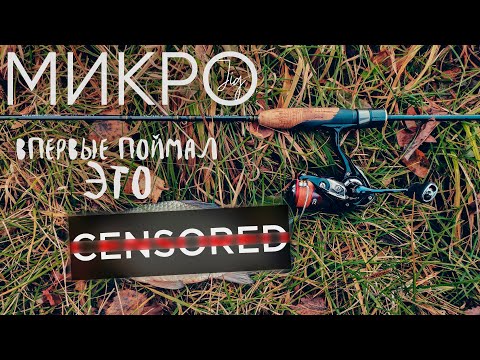 Видео: Впервые поймал ЭТУ рыбу на УЛЬТРАЛАЙТ ► МИКРОДЖИГ