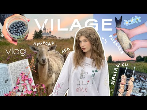 Видео: ДЕРЕВНЯ | красивые пейзажи, летние закаты и вайбовые дни в деревне