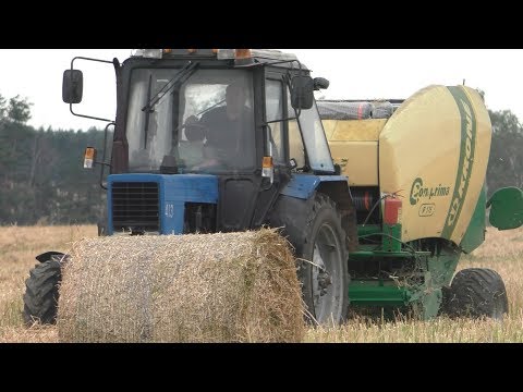 Видео: тюкование соломы от рапса. Вместе с ЗАЙЦАМ