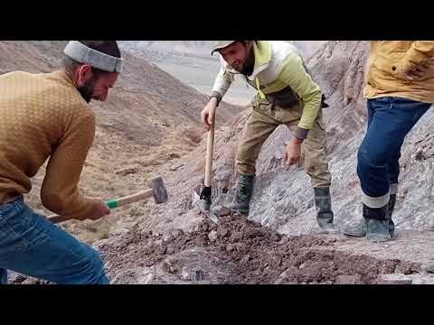 Видео: Кони Намака аренда гирифтем