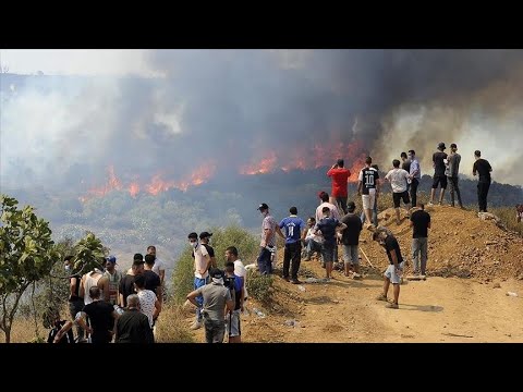 Видео: СТРАШНЫЕ ПОЖАРЫ В АЛЖИРЕ удалось локализировать