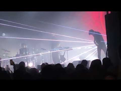 Видео: "QT" Дельфин в клубе Аврора 14.02.2025г.