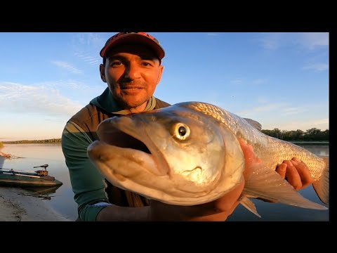 Видео: РЫБАЛКА на СПИННИНГ ЛОВЛЯ ЖЕРЕХА/Река Дон. Лучшая Блесна от ПАНТОН 21, ПАКО!#NEKFiSh