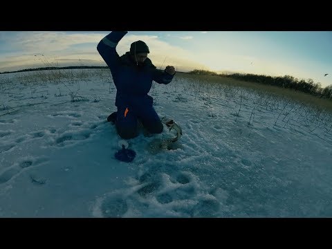 Видео: Балахановское озеро. Зимняя рыбалка. Закрытие сезона