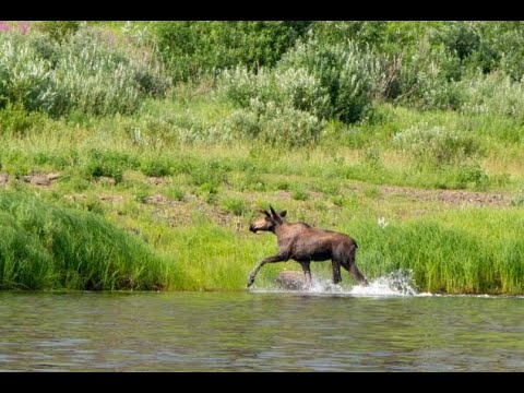 Видео: Сплав по Подкаменной Тунгуске. 2019 г. Часть 4