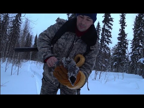 Видео: ЭТО НЕ ОХОТА! ЭТО ТРЕНАЖЁР! ГЛУХОЗИМЬЕ В ТАЙГЕ КОМИ РЕСПУБЛИКИ.