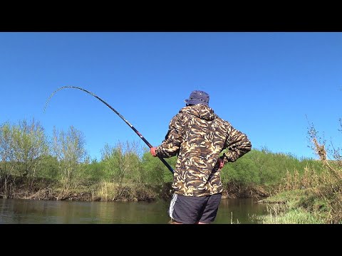 Видео: РЫБАЛКА на МАХОВУЮ удочку с берега в ПРОВОДКУ!!! Ловля на реке ВЕСНОЙ.