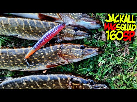 Видео: 🆘️ А Потім Поставив ЙОГО! 😳 і ПОНЕСЛОСЬ!!!😱 MagSquad 160SP 🎣 Або Попав на Вихід ЩУКИ ЖОВТЕНЬ 2023