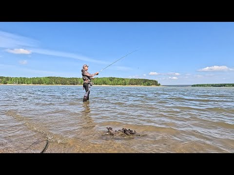 Видео: Береговой спиннинг. Отводной поводок. Окунь. Рыбалка по разным местам НСО
