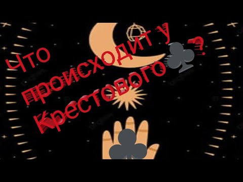 Видео: 🎉Срочно! Что происходит у Крестового♣️