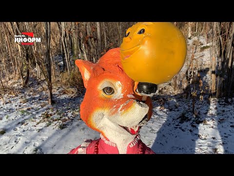 Видео: Вандалы будут наказаны