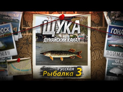 Видео: "Мутант" Щука. Дунайский Канал. Русская Рыбалка 3.
