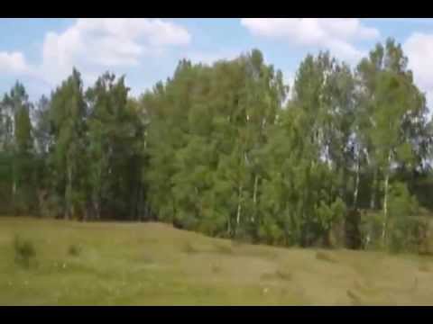 Видео: Александр Лаэртский - Песня президента