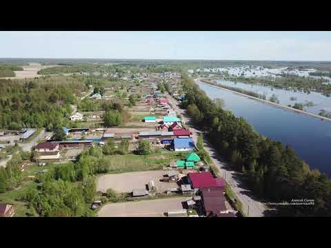 Видео: Колпашево, Селекционная