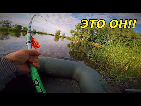 Видео: САЗАНЫ ПРУТ!ШНУР ДЫМИТ! ЛОВЛЯ САЗАНА НА БОКОВОЙ КИВОК!РЫБАЛКА НА САЗАНА!