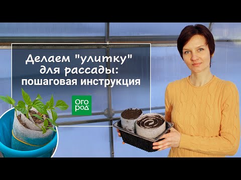 Видео: Как сделать "улитку" для рассады и что в нее посеять