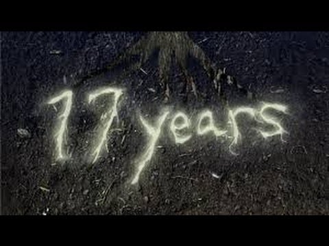 Видео: США 951: Где мои 17 лет? Мы беседуем с 17-летним Егором, приехавшим 9 месяцев назад