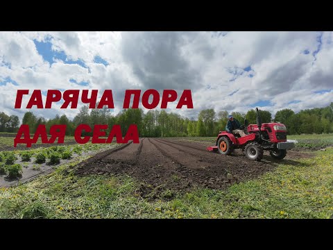 Видео: Готую площу під картоплю на городі. Грунтофреза ДТЗ ФН-1.3.#Шифенг240