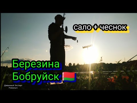 Видео: Рыбалка на Березине Бобруйск 🇧🇾 и снова район очистных