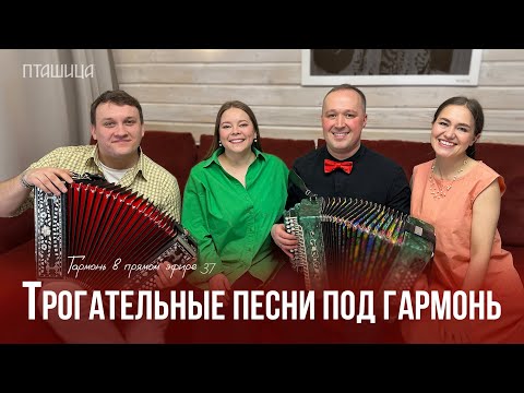 Видео: Гармонь в прямом эфире (37) – Январская встреча с ансамблем ПТАШИЦА | Песни под гармонь концерт