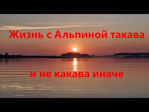 Видео: Alpina GT 400  - Какова реальная жизнь с этой лодкой. Часть 1