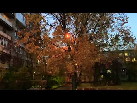 Видео: С добрым и прекрасным вечером друзья пошли прогуляемся 30.10+8 