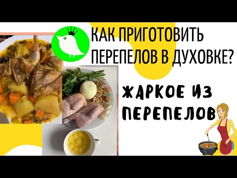 Видео: Как приготовить перепелов в духовке. Жаркое из перепелов. МОИ перепела