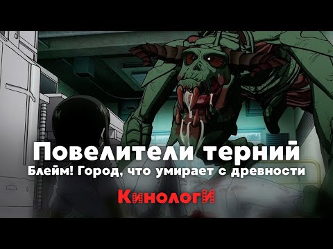 Видео: Кинологи. Повелители терний, которые умирают с древности